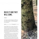 Trails-article-issue_121_h-1-page-001